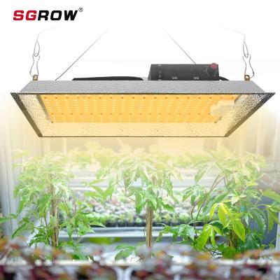 China Seed Starting 2020 Best Selling 288 PCS SF 150W Hydroponic LED Qty Led Grow Light for sale