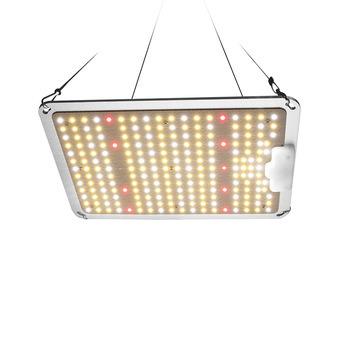 China Seed Starting QP120 High PPFD 2.7umol/J LM301B Full Spectrum 3500K 5000K 660nm 730nm Greenhouse 120W LED Grow Light for sale