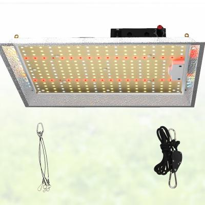 China Seed Starting SGROW SF150W 300w 450W 42cm*31cm*7cm LED Quantity 288 PCS Led For Growing Light Hydroponic for sale