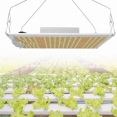 China Seed Starting SGROW IP65 Waterproof Full Spectrum QP120 120W 240W 480W LED Grow Light For Indoor Plant for sale