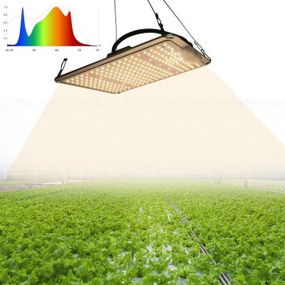 China VEG+BLOOM+COB QB120W 301b 660nm 730nm Citizen Grow Led Light Grow Light For Indoor Plant for sale