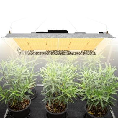 China SUNGROWLED SF300W IP65 Flower Indoor Plant Waterproof Spectrum Starting Seed SMD3030 660nm 730nm Dimmable Full Led Grow Light for sale