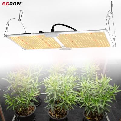 China Seed Starting SGROW QP240w 301b 660nm 730nm Citizen Grow Led Greenhouse Light Led Light Plant Grow for sale