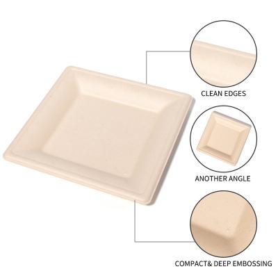 China Disposable Eco-friendly Biodegradable Custom Printed Disposable Square Plates Biodegradable Paper Cupboard Dishes for sale