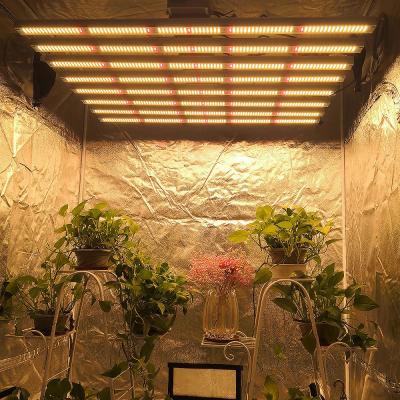 China Seed Starting 1000w ETL Listed Full Spectrum Dimmable Commercial Led Grow Light for sale