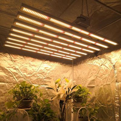 China Seed starting newest 8ft lm301b 600w full spectrum led grow light for indoor plants for sale