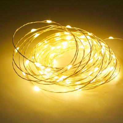 China 5M/10M/20M LED USB Residential Single Color Copper Wiring String Cuttable Waterproof Lights for Christmas for sale