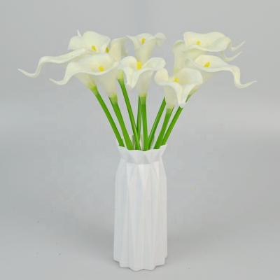 China Free Sample Real Beautiful Colorful Artificial Touch Greenish Spider Lily Flower For Home Decoration for sale