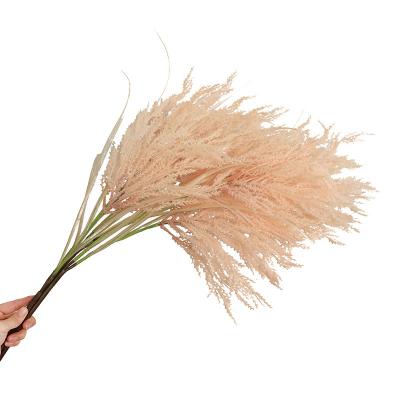 China Giving Hot Sale Artificial Pampas Grass Vivid Flower Feather Reed Decoration Artificial Flowers For Wedding And Home for sale