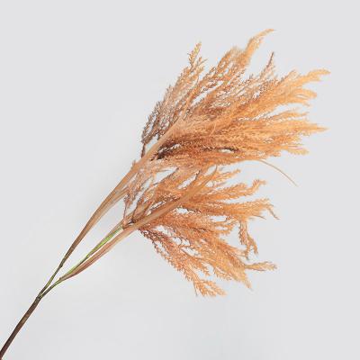 China Giving Success Grass Great Gradient Color For Home Decoration Artificial Pampas for sale