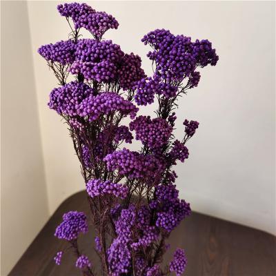 China Openable cavity hanging natural dried flower large preserved bouquet by transparent wholesale Christmas hydrangea decoration new high quality for sale