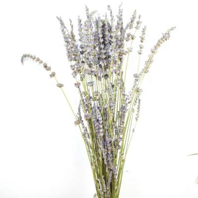 China Best Selling Home Decorative Dried Natural Lavender Dried Decoration Accessories Party Bouquet Dried Flower for sale