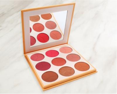 Chine Le rose rougissent des cosmétiques de palette que le maquillage de visage rougissent 9 couleurs 3 ans de garantie à vendre