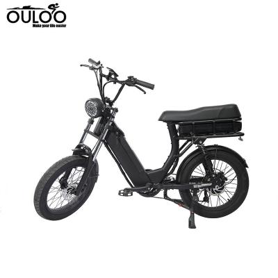 China Classic Electric Bike For Adults 750W Motor 20