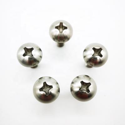 China GR5 Round Cross Recessed Cheese Head Raised Titanium Screw Bolt for sale