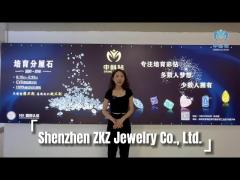 Shenzhen ZKZ Jewelry Co., Ltd. - Lab Grown Diamonds Manufacturer