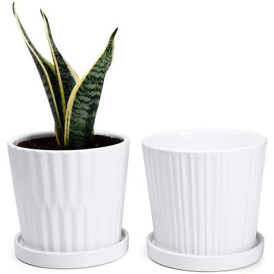 China Worldwide 6 Inch White Cylinder Ceramic Planters Indoor Pot With Attached Saucers for sale