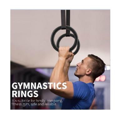 China Durable High Quality Practical ABS Fitness Gymnastic Rings Exercise Pull Up Gym Ring for sale