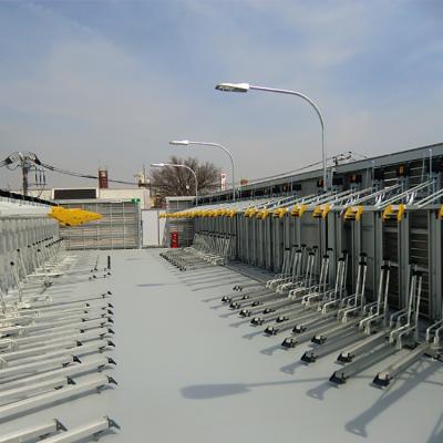 China Maximizes storage space design user-friendly solidity vertical bi-level bike rack for sale