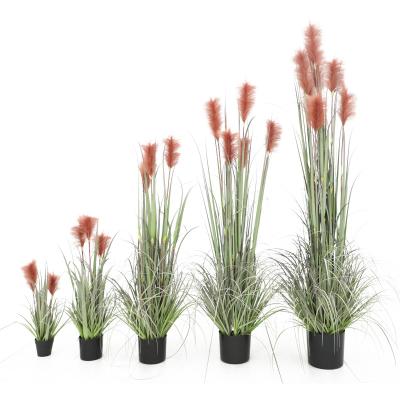 China Garden.hotel. Restaurant House Ect. Hot Sale Indoor Decorative Onion Grass Artificial Plastic Weeds Thatch Dog-tail Grass For Home Decor for sale