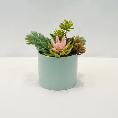 China Wholesale Artificial Elegant Realistic Ceramic Potted Cactus Garden Plant Artificial Succulent Plant Decor For Table for sale