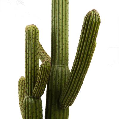 China Decorration Two Ball Pest Artificial Cactus Wholesale Grafted Cactus For Small Artificial Plants for sale