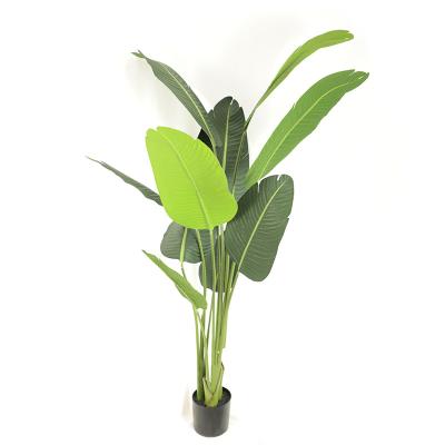 China Hot Selling Outdoor Home Decor Indoor Decor Faux Greenery Plant Traveler Tropical Banana Leaves Artificial Plants Trees for sale