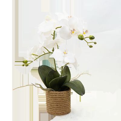 China Garden Decoration Real Touch Pretty Artificial Flowers White Butterfly Orchid In Pots For Garden Decoration for sale