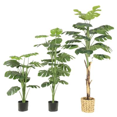 China Moss Pole Bendable Decoration Garden For Plants Handmade Thin Stakes For Indoor Philodendron Monstera Live Plant for sale