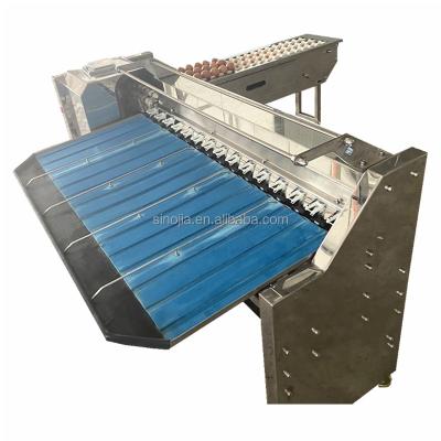 China Snack Factory Factory Supply Egg Sorting Machinery / Poultry Egg Grading Sorter By Weight for sale