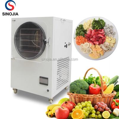 China Medicine Processing New Arrival Vacuum Freeze Dryer Machine / Meat Pet Food Fruit Vegetable Freeze Drying Machine for sale