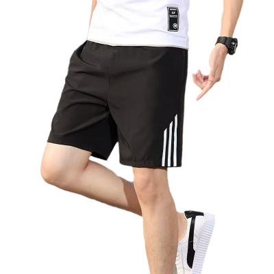 China Anti-wrinkle Shorts Men Fitness Sports Training Running Short Pants Men's Gym Shorts for sale