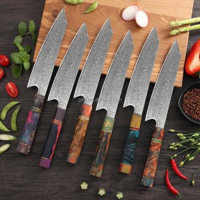 China Viable High Quality Handmade Japanese Chefs Kitchen Knife Vg10 67 Layers Damascus Steel Knives With Resin Handle for sale