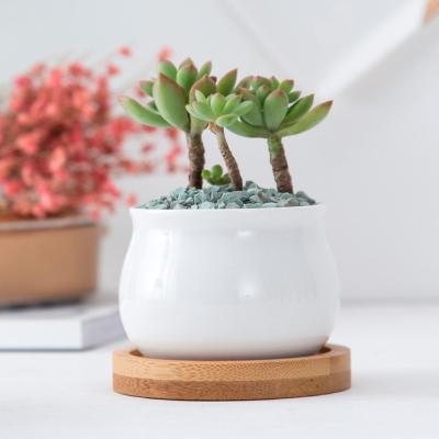 China Factory wholesale modern decorative ceramic white mini succulent pot with tray for sale