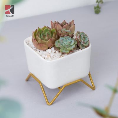 China Office Decoration Cement Flower Pots For Succulent Plants HWCP-1001 for sale