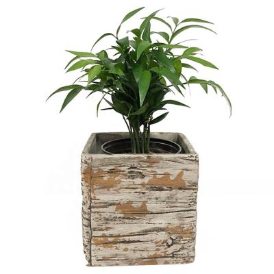 China Handmade Rustic Cement Flower Pot Garden Planters Indoor Plant Succulent Pot Pots With Drainage for sale