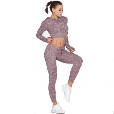 China Women's Breathable Workout Gear 2 Piece Yoga Seamless High Set Hoodie Gaiters Waist Yoga Set for sale