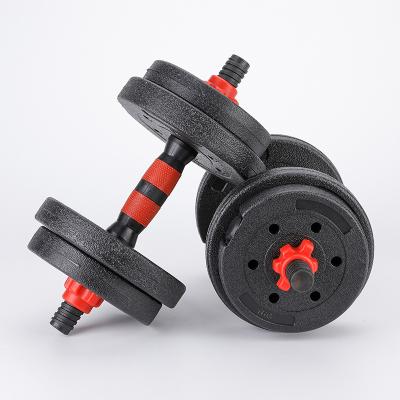 China Dumbbell Factory Weight Gym Equipment Plated Professional Fitness Dumbbells Set Dumbbell Adjustable Barbell for sale