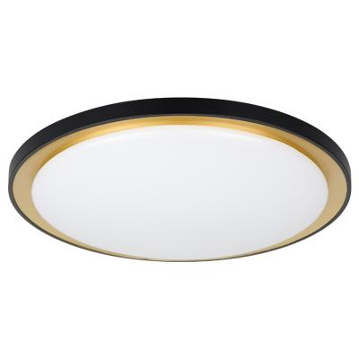 China 2021 New Design Modern Simplicity Ceiling Lamp Import China Modern Living Room Lights Wholesale for sale