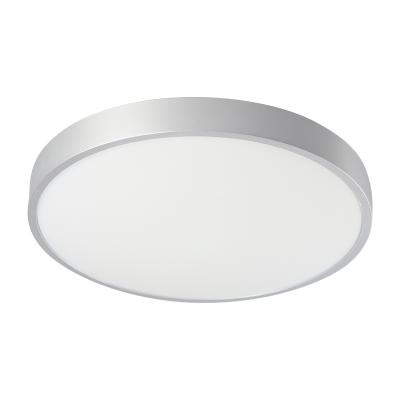 China IP54 Outdoor Mounted Ceiling Light Balcony Waterproof Swimming Pool Mounted Ceiling Light for sale