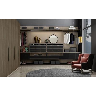 China Modern Luxury Modern Walk In Closet Closet Cabinet Storage Wardrobe Modern Walk In Locker Room for sale