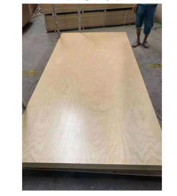 China Latest Factory Price Modern Hot Selling Modern Technology 10mm/11/12/13/14/15/16/17/18mm Poplar Hardwood Combi Core Birch Plywood For Sale for sale