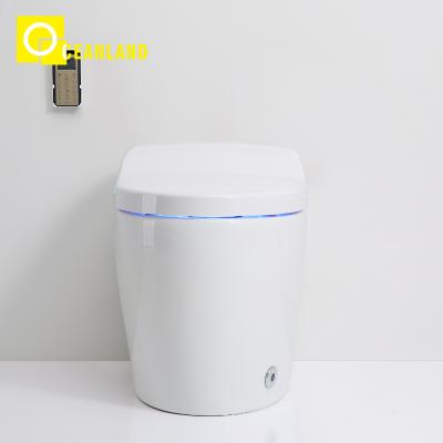 China Automatic Operation Potty Toilet Flushing Smart Toilet Bidet Electric Smart Toilet Seat for sale