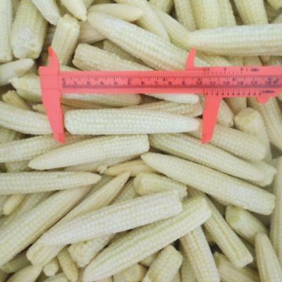 China New culture iqf frozen vegetable frozen baby corn for sale