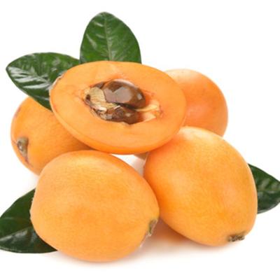 China Hot Sales OEM Style Organic Food Soft Fresh Fruit Raw Material Canned Loquat Halves Ready Made for sale