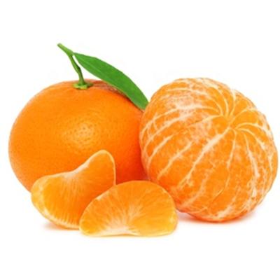 China Healthy Factory Direct Wholesale Guaranteed Quality Customized Fresh Fruit In Light Syrup Canned Orange for sale