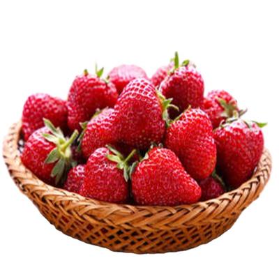 China Canned Sweet Canned Whole Canned Strawberry Light Syrup Factory Price Fresh Material Customized for sale