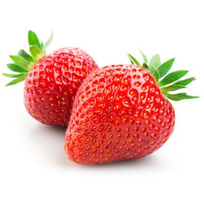 China Boxed OEM Customized Whole Boxed With Factory Price Boxed Strawberry for sale