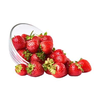 China Boxed Strawberry OEM Heavy Soft Style Boxed Fresh Material Whole With Factory Price for sale