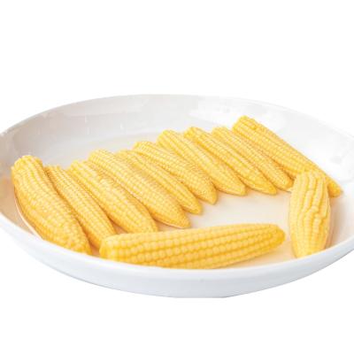 China Factory Price Canned Canned Baby Corn for sale